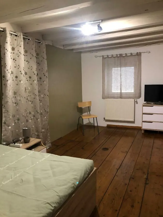 Spacieux Appartement 2/6 Pers 110M² Proche Cnpe Lagnieu Apartment
